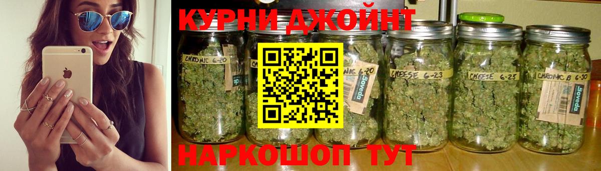 Бошки марихуана индика  Канабис индика  Тихорецк  Марихуана White Widow  Вход с VPN 